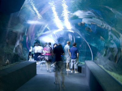 Siam Ocean World Siam Ocean World