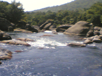 Silent Valley - Kuntipuzha River Silent Valley - Kuntipuzha River