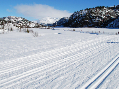 Sirdal