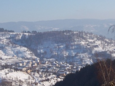 Osina