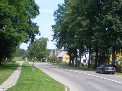Vistytis