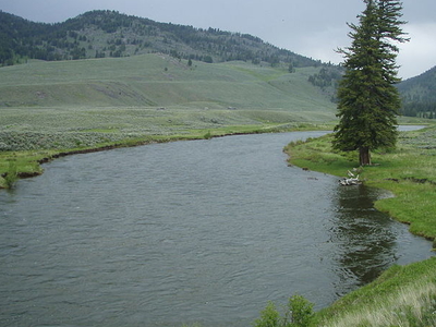 Slough Creek
