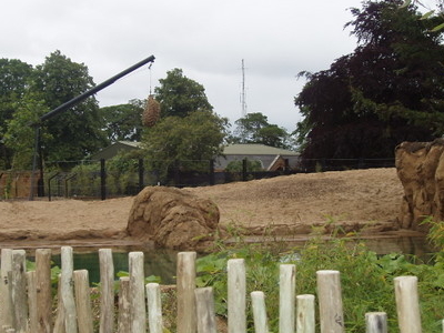 Dublin Zoo