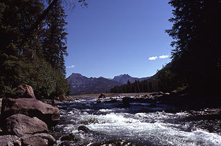 Soda Butte Creek