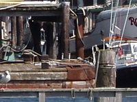 Sooke