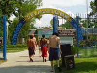 Spring Town