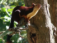 Sri Venkateswara National Park Sri Venkateswara National Park