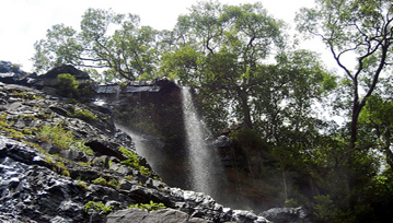 Sri Venkateswara National Park Treks