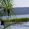 Ssese Islands