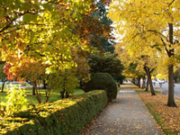 State Capitol State Park State Capitol State Park