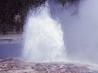 Steady Geyser Steady Geyser