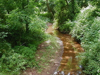 Steep Hill Brook