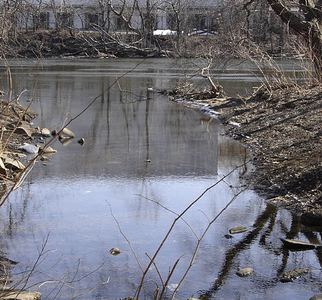 Stevenson Brook
