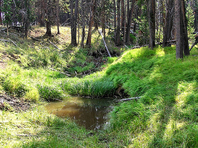 Storm Point Trail