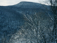 Sugarloaf Knob Sugarloaf Knob