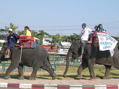 Surin