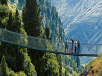 Suspension Bridge