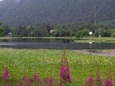 Swan Lake