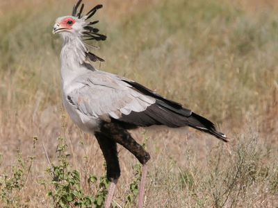 Kamuku National Park