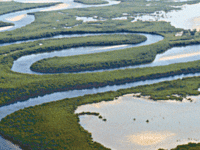 Saloum Delta National Park Saloum Delta National Park