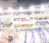 Sambadrome And Carnaval