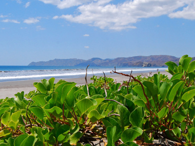 Santa Rosa National Park