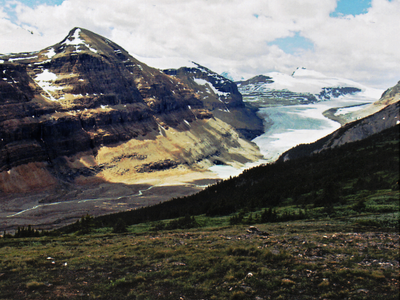 Saskatchewan Glacier