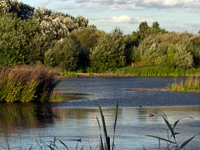 WWT London Wetland Centre WWT London Wetland Centre