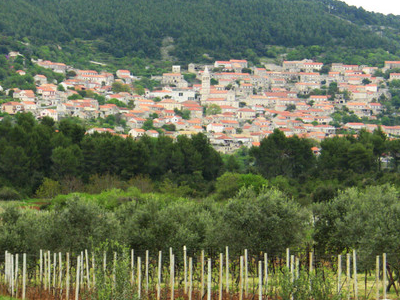 Smokvica