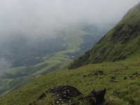 Pushpagiri