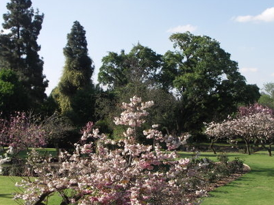 Johannesburg Botanical Garden