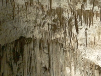 Grotta del Cavallone