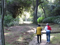 Pigeon Valley