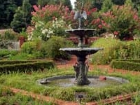 The State Botanical Garden