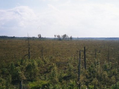 Store Mosse National Park