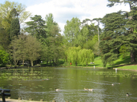 Stratford Park Stratford Park