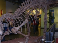 Chicago Children's Museum