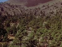 Sunset Crater Sunset Crater