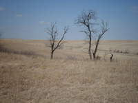 Tallgrass Prairie National Reserve Tallgrass Prairie National Reserve