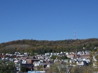 Tarentum