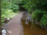 Ten Mile Run