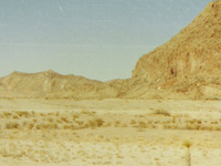 Terlingua