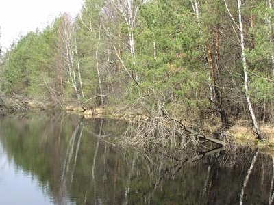 The Broduszurki Nature Reserve