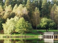 The Czarna Białostocka - Janów Route