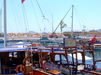 Kalkan