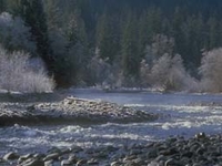 Hoh River