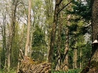 The Jesionowe Góry Reserve The Jesionowe Góry Reserve