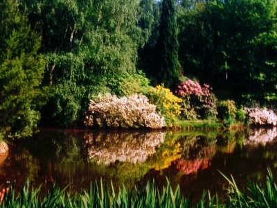 The Kámon Arboretum of the Institute of the Forestry Research