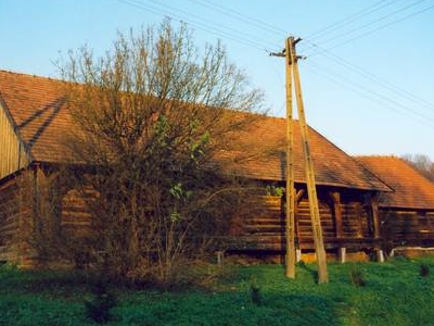 The Manor Complex of Trzesniow