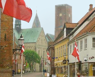Ribe